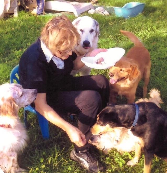 L’amore e le cure per i cani ammalati 