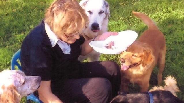 L’amore e le cure per i cani ammalati