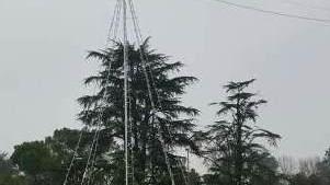 Vandali in azione Rubata una renna di Babbo Natale