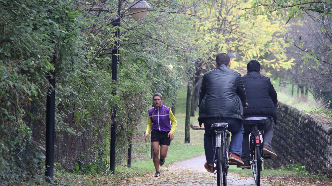 Un tratto della pista ciclabile che corre lungo il Bisenzio