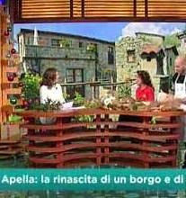 Apella capitale dalla castagna in vetrina su “Geo” 