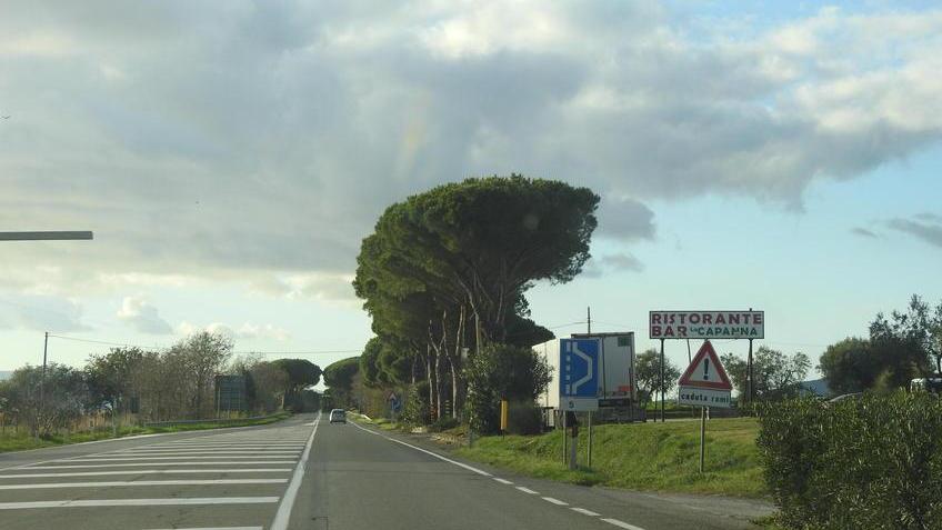 Incroci a raso e nessun intervento Sulla statale si continua a morire