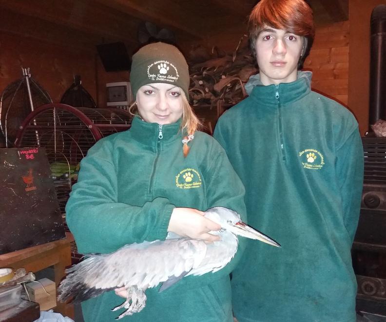 Animali tratti in salvo grazie ai volontari E ora l’incubo dei botti 