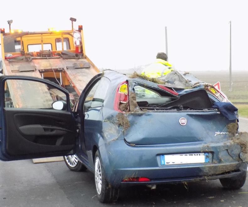 Sbanda con l’auto e finisce fuori strada Ferito un ragazzo 