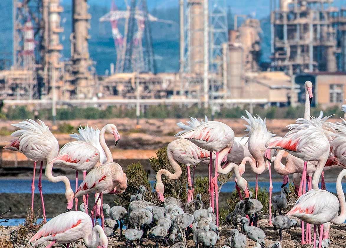 Venti grandi storie della Sardegna più bella e nascosta 