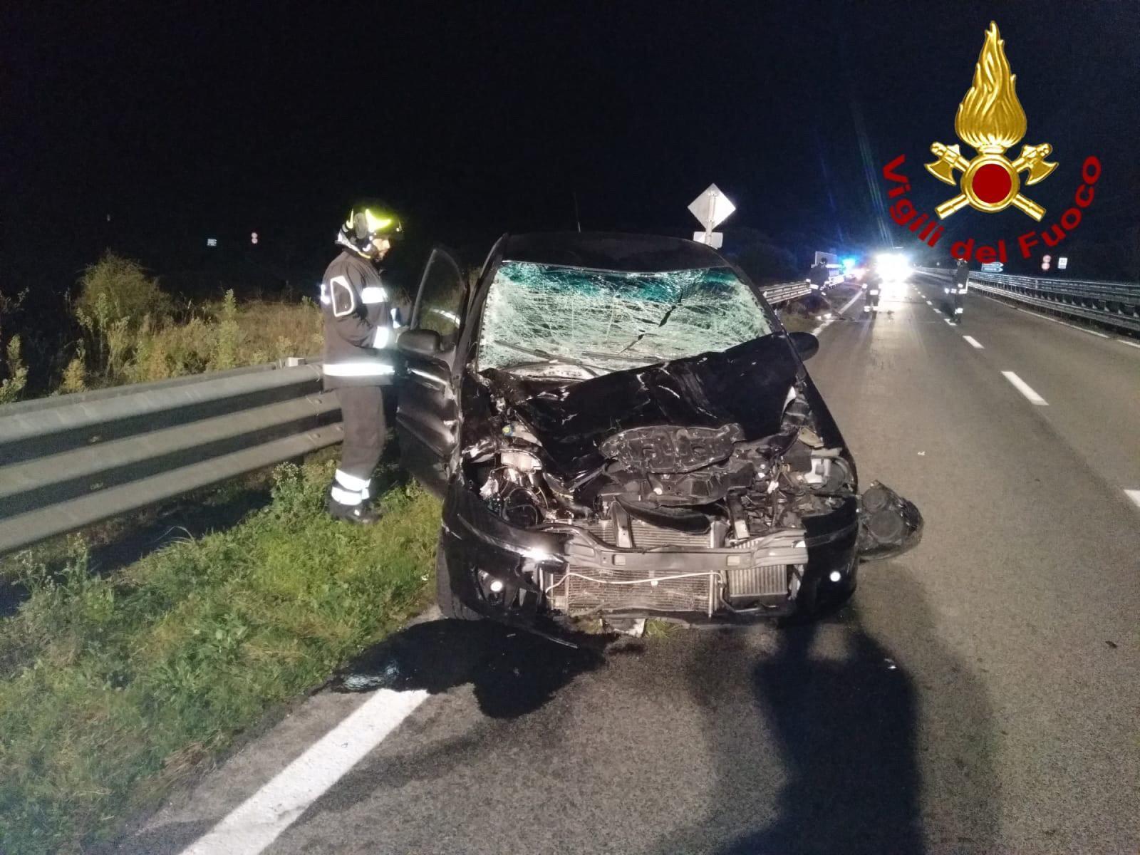 Travolge una mucca e distrugge l'auto, miracolosamente illeso