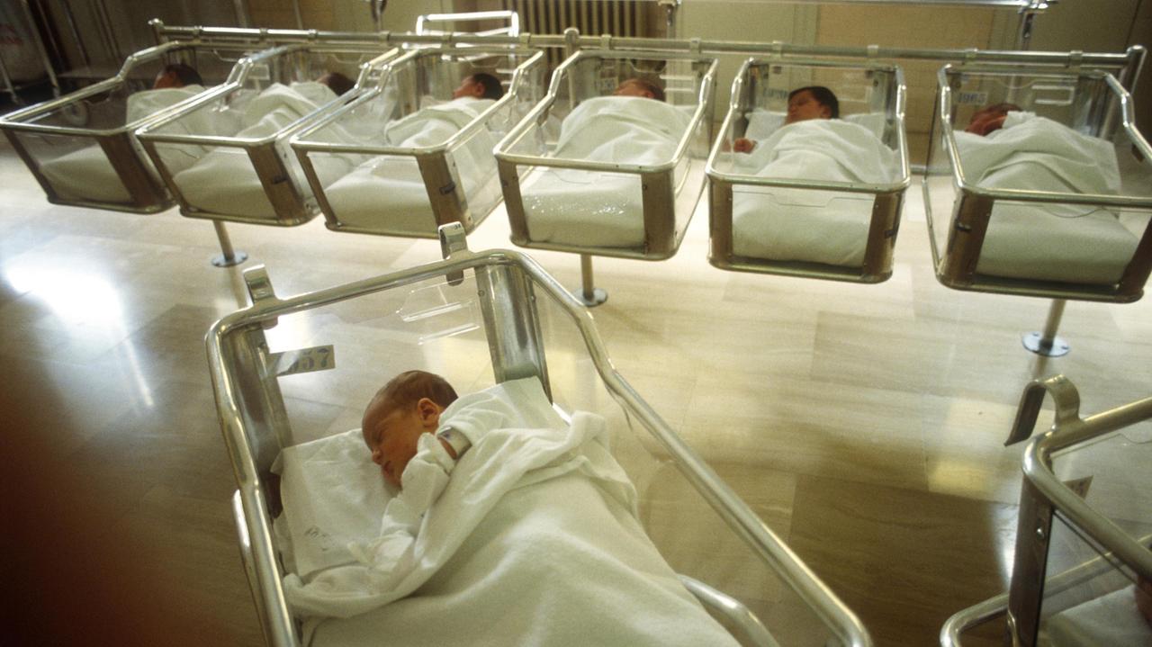 Una nursery (foto di archivio)