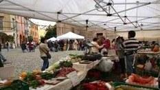 Alla Pomposa protagonista il biologico degli agricoltori
