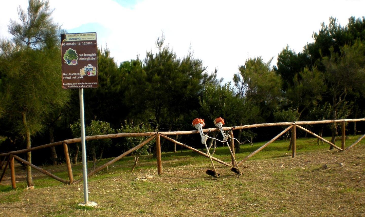 Forestazione, i cantieri affidati alla Multiservizi