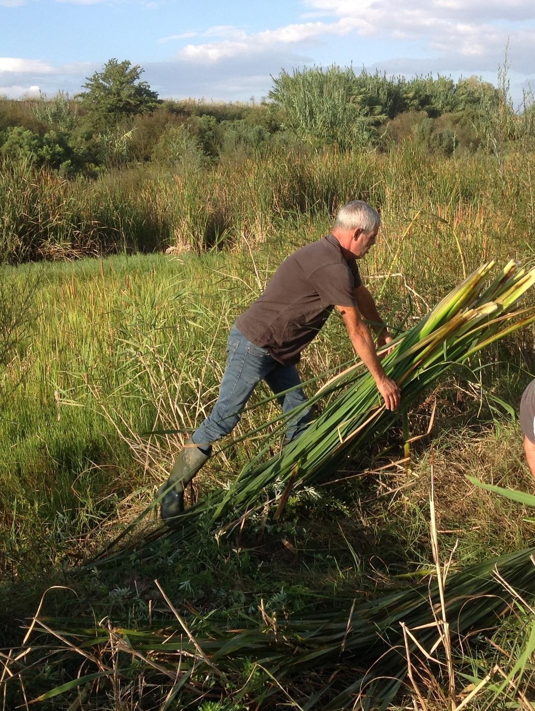 Agricoltura: arrivano 3,2 milioni 