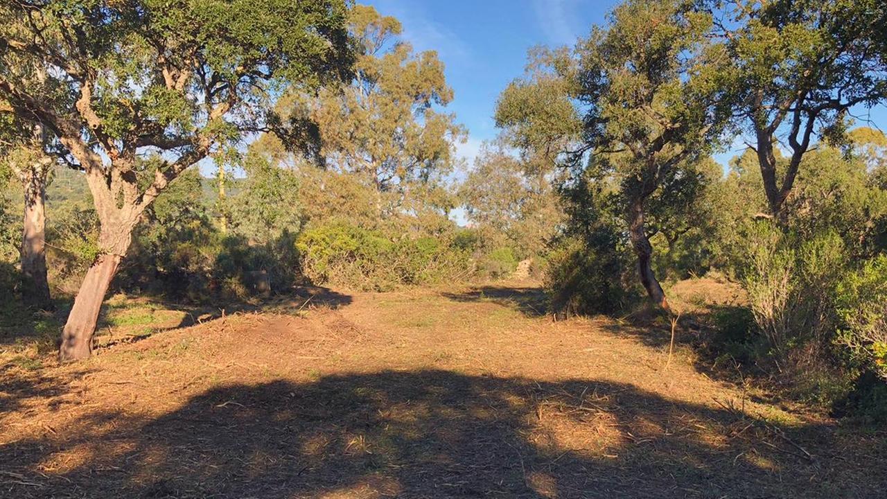 Area confiscata alla mafia nascerà un parco pubblico