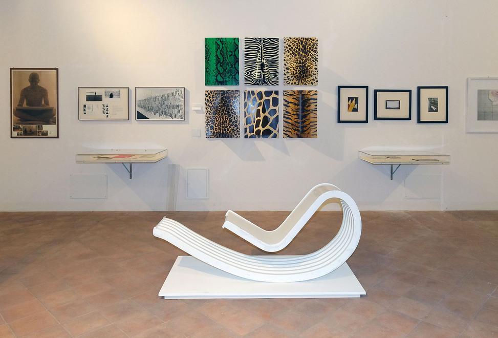 Modena, Palazzo dei Musei cuore culturale con mostre e nuove collezioni 