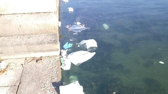 Plastica e sporcizia finite nella laguna Wwf sollecita Minucci