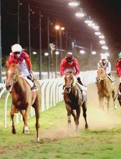 <strong>IN PISTA. </strong> Una riunione all’ippodromo Caprilli