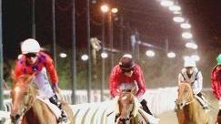 <strong>IN PISTA. </strong> Una riunione all’ippodromo Caprilli