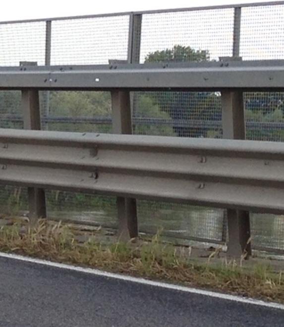 Timori e proteste: via le erbacce dal viadotto sul Po