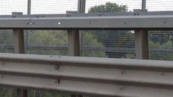 Timori e proteste: via le erbacce dal viadotto sul Po