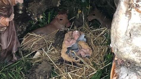 Nuoro, vandali in azione a Su Pinu: danneggiato il presepe 