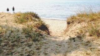 Dune al parco della Sterpaia