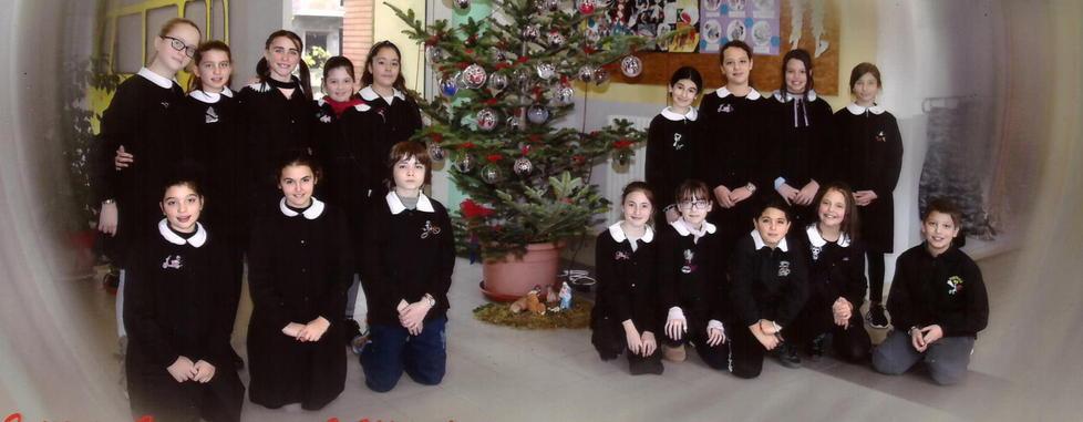 A scuola un albero con le foto dei bambini