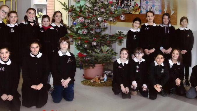A scuola un albero con le foto dei bambini