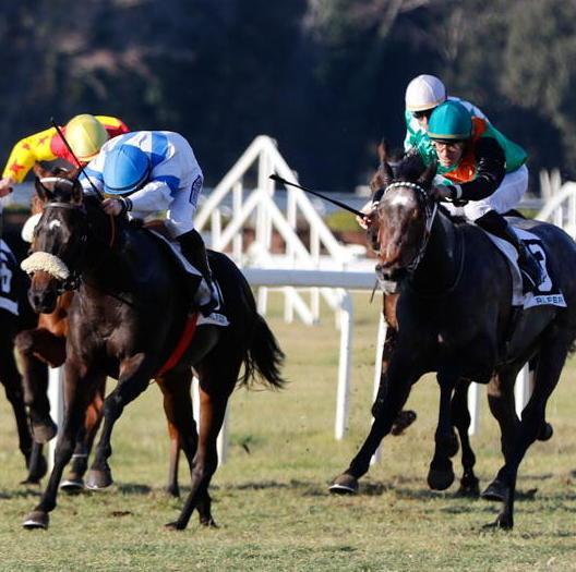 Admiral Force è il più veloce nel premio Hippoweb.it 
