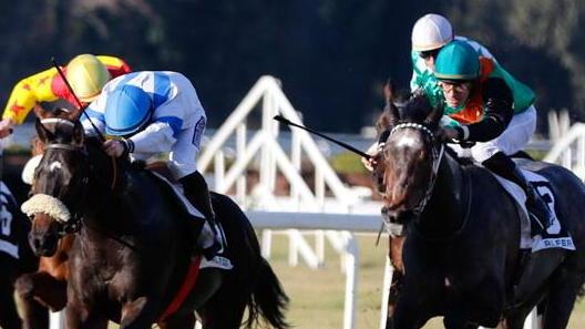 Admiral Force è il più veloce nel premio Hippoweb.it