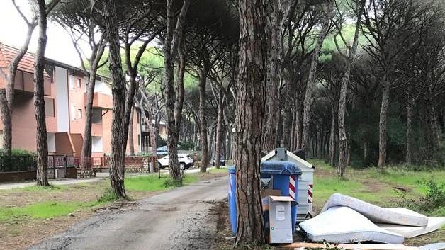 Materassi e ingombranti buttati fuori dal cassonetto