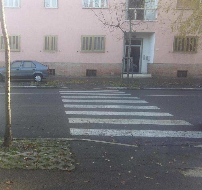 «Viale Sonnino, vogliamo attraversamenti più sicuri» 
