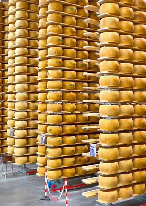 Parmigiano: modificato il Piano produttivio
