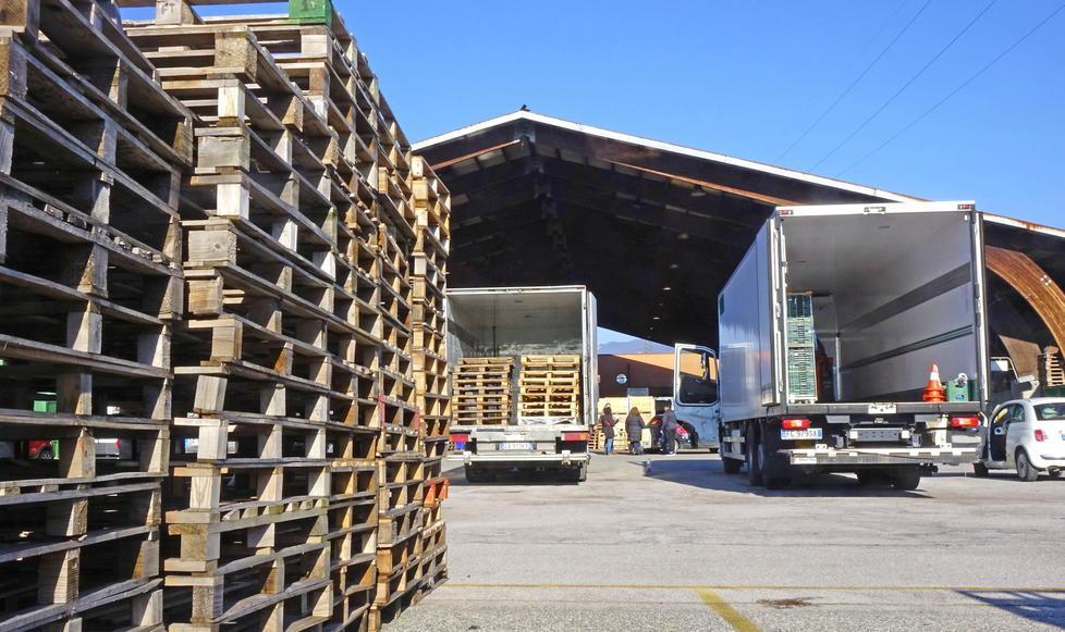 Il mercato ortofrutticolo in via dell'Annona (foto Gori)