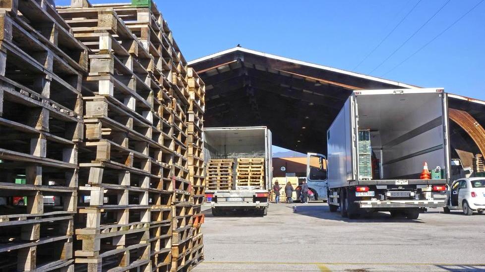 Il mercato ortofrutticolo in via dell'Annona (foto Gori)