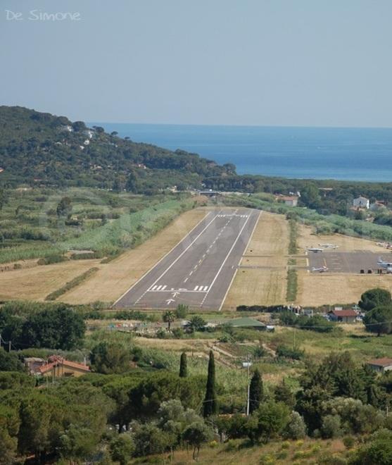Da sfoltire la vegetazione troppo vicini alla pista