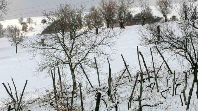 In arrivo dai Balcani correnti artiche Il termometro in picchiata fino a -8°