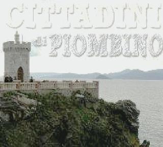 L’home page di un blog su Piombino e un ragazzo al computer