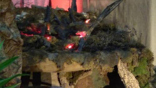 Nel presepe di paese bruciano gli olivi per non dimenticare il terribile incendio