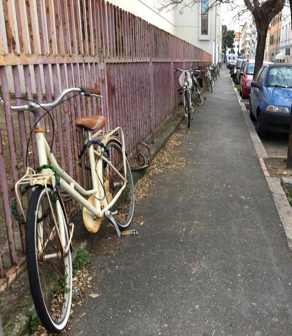 A 17 anni danno fuoco alle biciclette per divertirsi
