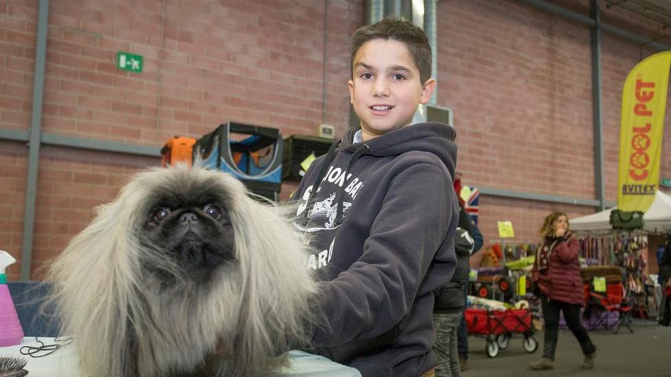 Lo spettacolo dei cani di tutte le razze a Modena Fiere