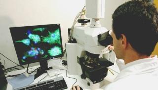 Nella foto a sinistra un ricercatore al lavoro: la Toscana vuole stoppare la fuga dei migliori talenti all’estero