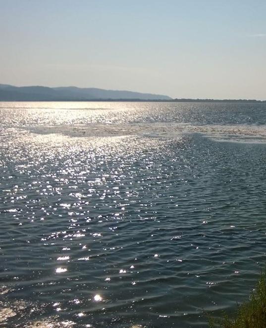Laguna, la Regione chiede 7 milioni di euro al ministero 