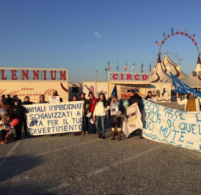 Gli animalisti contro il circo insieme al Movimento 5 Stelle 