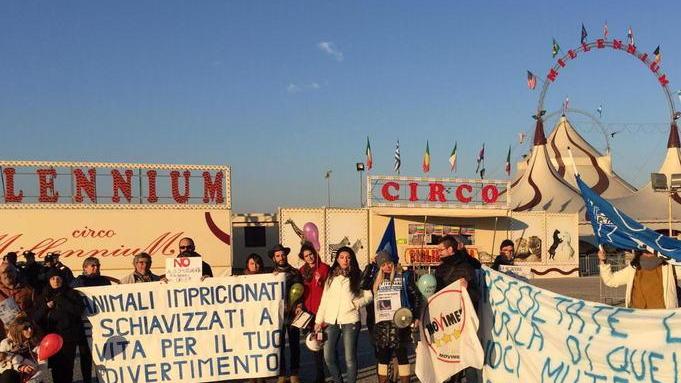 Gli animalisti contro il circo insieme al Movimento 5 Stelle