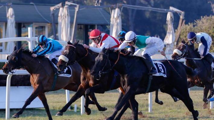 Nel premio Nardini arriva secondo il cavallo “scosso”