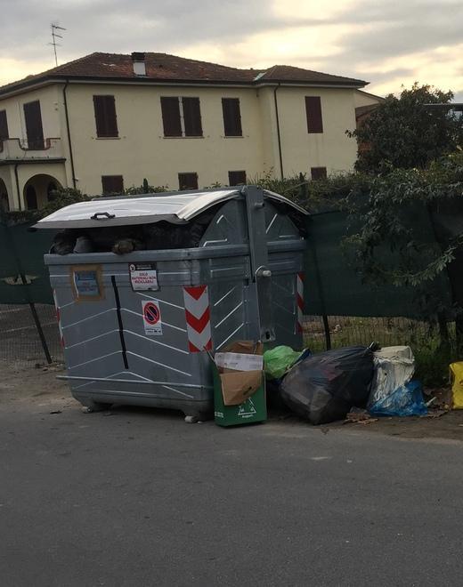 Il cassonetto... abusivo