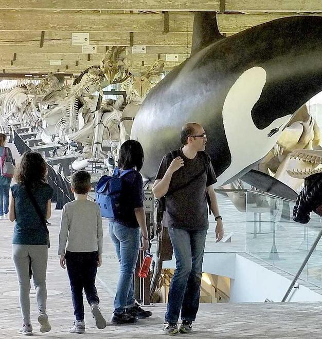 Record per il Museo di storia naturale. Oltre 71.000 visitatori nel 2018 a Calci 