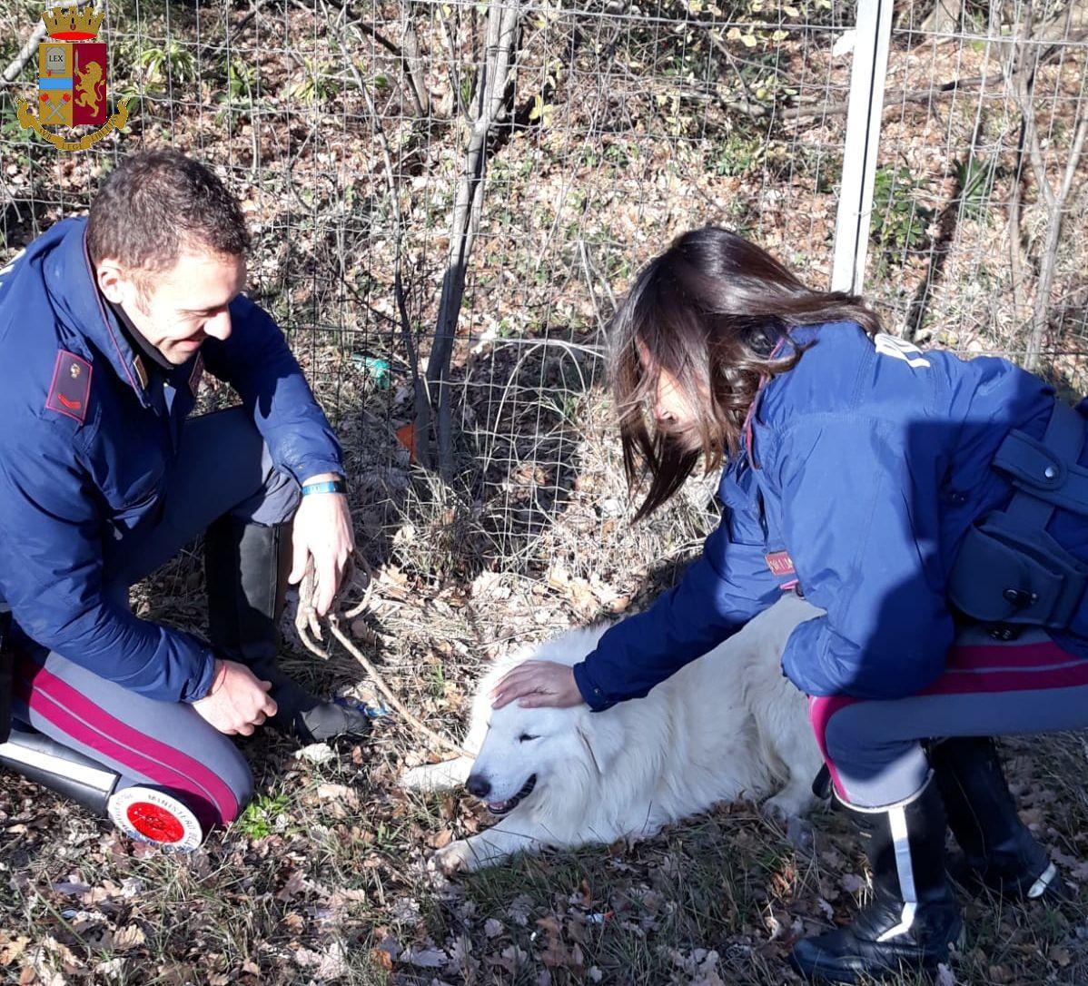 Gli agenti della Polstrada con Bianco appena recuperato lungo l'A1