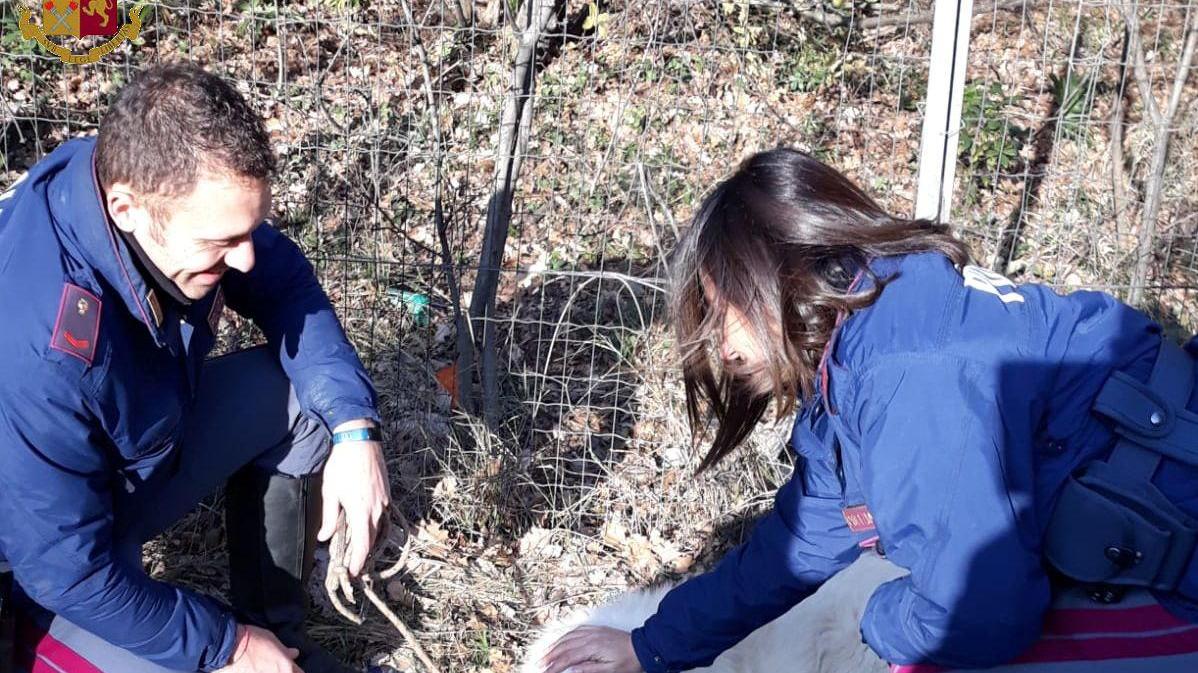 Gli agenti della Polstrada con Bianco appena recuperato lungo l'A1