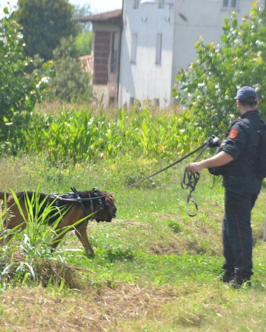 Rientrato nella struttura il 17enne sparito da Lammari 