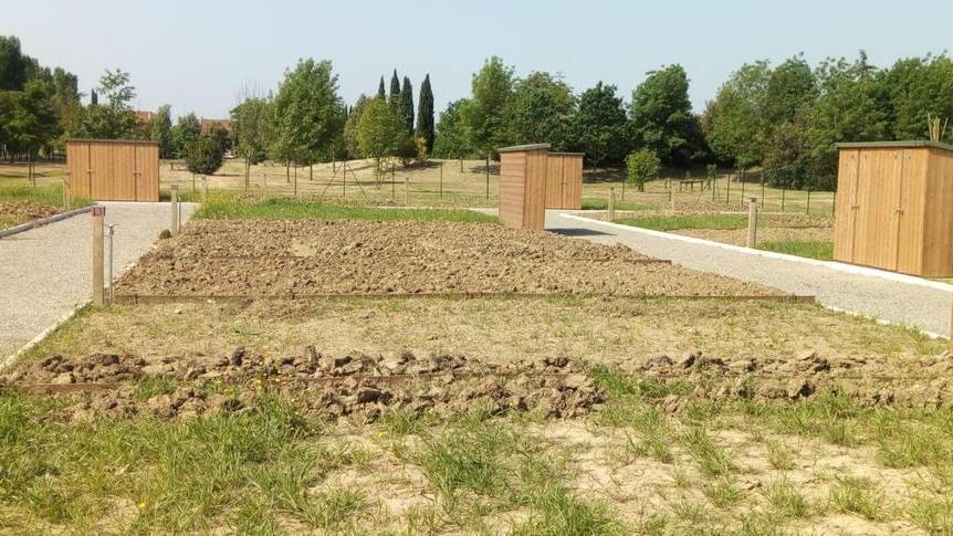 Nasce uno spazio per sgambamento e agility dog