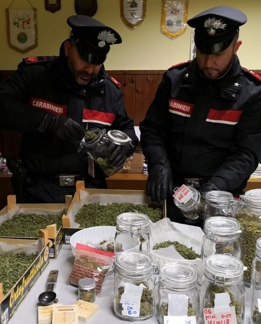 Coltivava e vendeva droga Arrestato un cuoco di 23 anni 